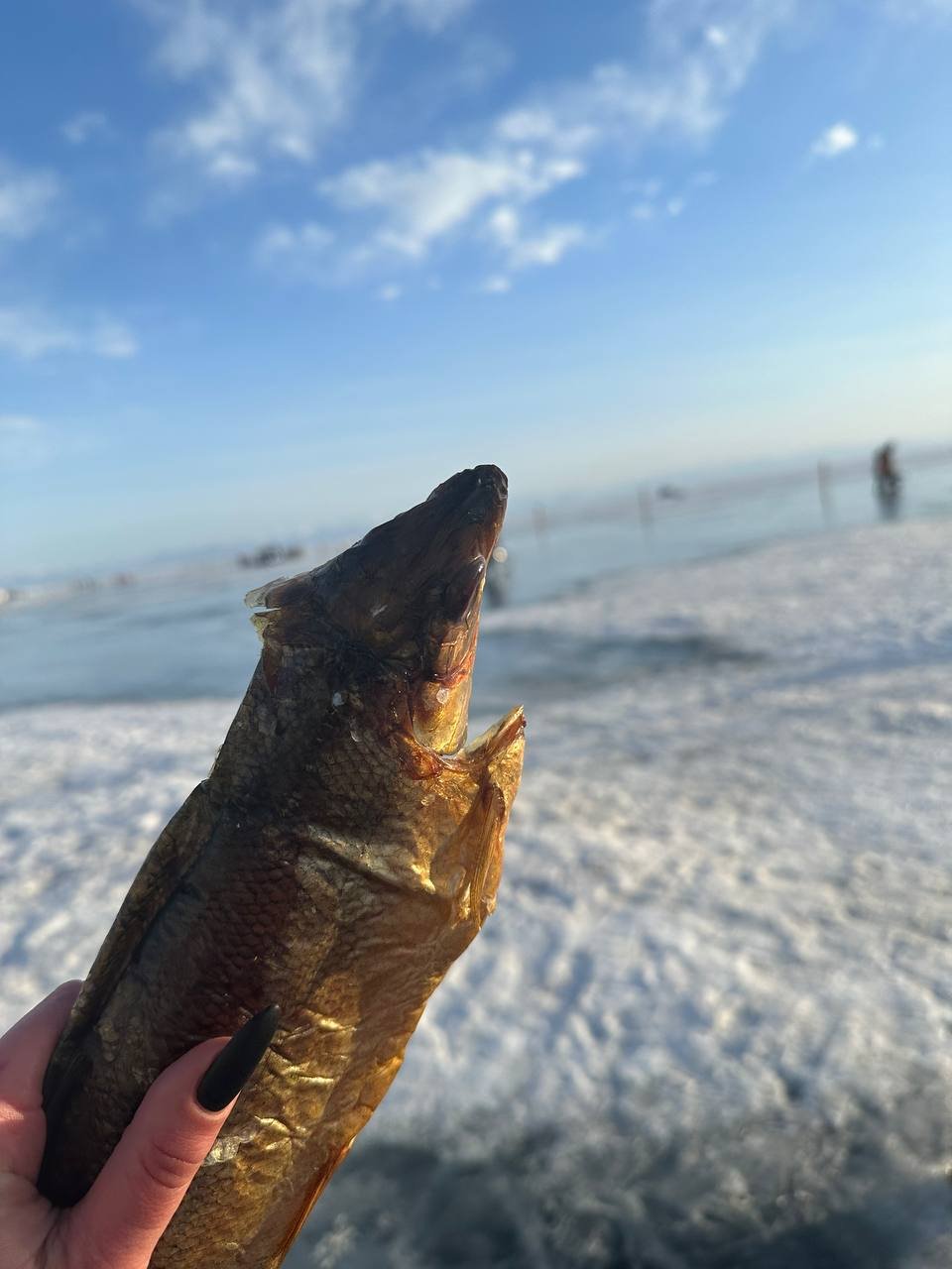 photo_2025-12-22_22-38-27